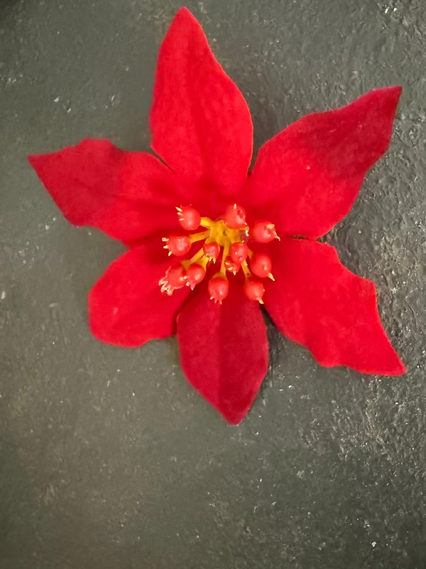 Vintage 80s Çiçek Figürlü Kumaş Broş