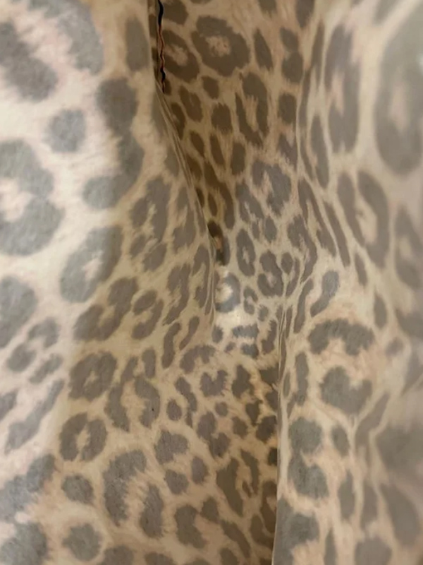 Be Retrokare Leopar Günlük Çanta